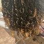 Crochet Braids