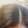 Color Root Touch Up front hairline