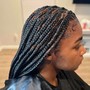 Lemonade Fulani braids