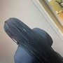 Single Box Braids