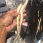 Dreadlocks Extensions