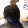 Small Box Braids Mid Back