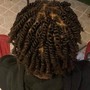 Starter Locs