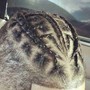 Small Freestyle Braids