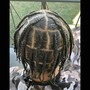 Individual braids HAIR ADDED