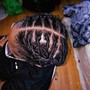 Starter Locs