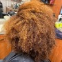 Root Touch Up