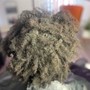 Natural Coils (Mid Length)