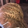 Feed in Braids