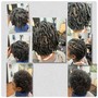 Natural Starter Dreadlocks