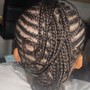 2 Feed In Braids