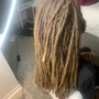 Highlights •Locs Colored