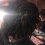 Coils / Individual braids/ 2Strand Twist