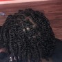 Coils / Individual braids/ 2Strand Twist