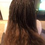 Senegalese Twist