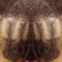 Pretty Minkz inc Strip Lashes