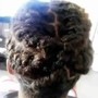 Jumbo Twist (added hair) Any Length- Client provides hair $100.00 -Hair included $40.00 additional fee