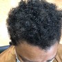 Root Touch Up