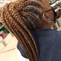 Feed-ins *5 Braids*