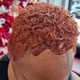 Root Touch Up