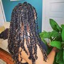 Havana Twists