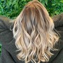 Balayage/ Foiliayge/ ombré