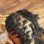 Coils / Individual braids/ 2Strand Twist