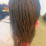 Box Braids