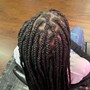 Medium Box Braids