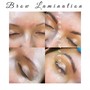 Eyebrow Lamination/ Perm