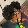 Starter Locs