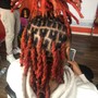 Wash W/ Retwist + Unisex Loc Style w/Human Hair Extensions