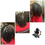 Wash Retwist & Style(freestyle) Mid Back Length