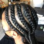 Individual Box Braids (Small)