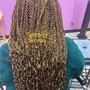 Senegalese Twists- extra small