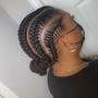 ( Med size)Crochet locs