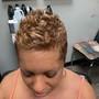 Root Touch Up