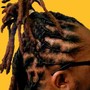 Starter Locs (Medium)