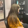 Root Touch Up