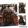 Root Touch Up