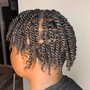 Passion Twists (short shoulder length )