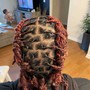 Starter locs