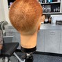 Kid’s Cut