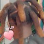 Loc Extensions