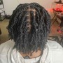 Starter Locs (Coils)