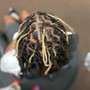 Starter locs