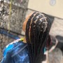 Braided up ponytail (small)