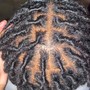 Loc Maintenance ( Traditional Palmroll) (Medium/Short Length)