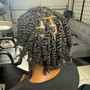 Two strand Twist / plaits