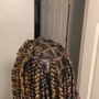 Small KNOTLESS Bohemian/Goddess Braids (Midback)